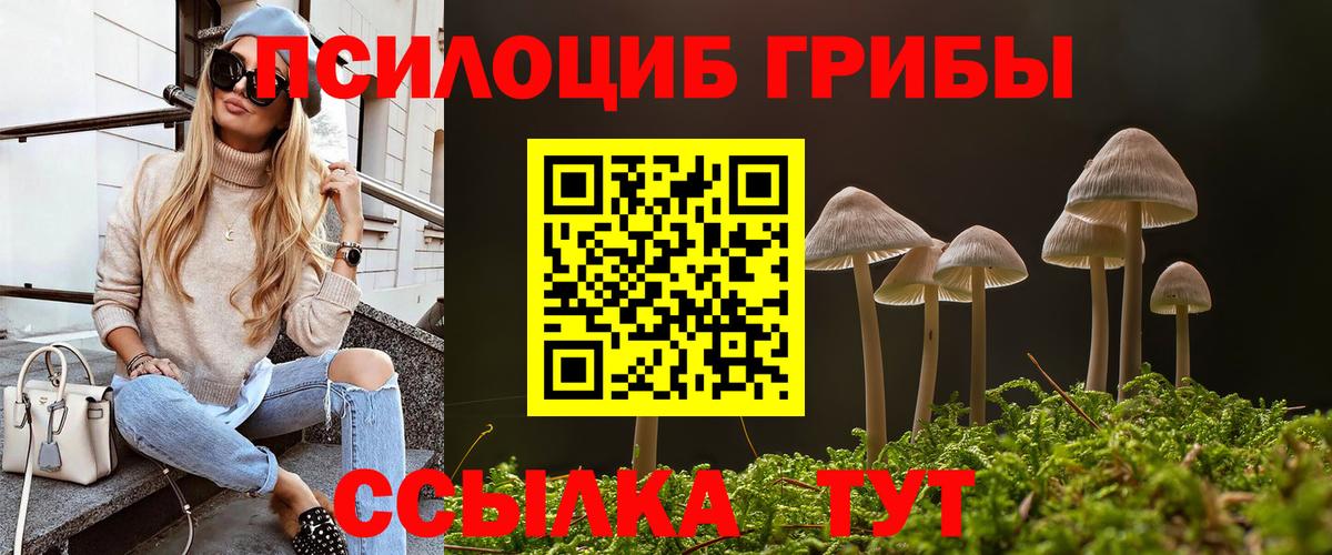 Псилоцибиновые грибы прущие грибы Каменск-Уральский